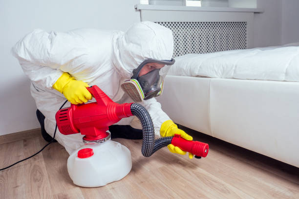 Best Pest Control for Homes  in USA